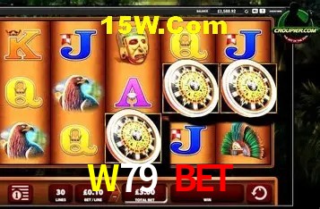 Sistemas de Segurança W79 Bet